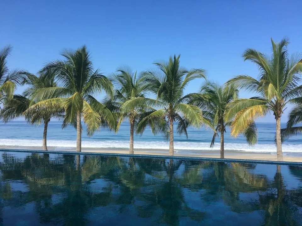 Palm trees and an infinity pool by the sea in Punta Mita